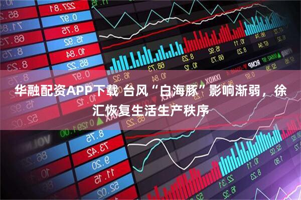 华融配资APP下载 台风“白海豚”影响渐弱，徐汇恢复生活生产秩序